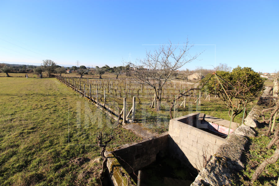 Imoverfil - QUINTA com 2.3 HECTARES