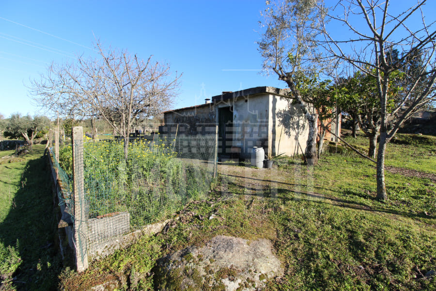Imoverfil - QUINTA com 2.3 HECTARES