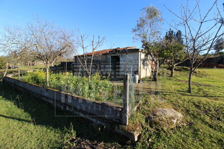 Imoverfil - QUINTA com 2.3 HECTARES
