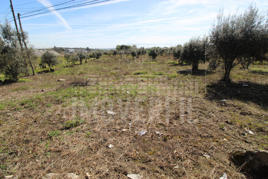 Imoverfil - TERRENO PARA CONSTRUÇÃO