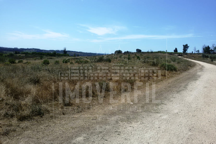 Imoverfil - EXCELENTE TERRENO AGRÍCOLA